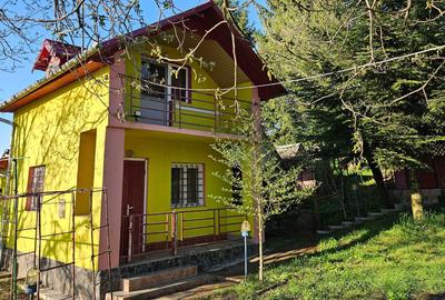 Casă cu 2 camere în Ațintiș - 1