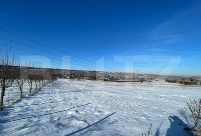 Teren extravilan, 9.600 mp, intrare Rada?eni - 1