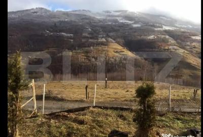 Casă cu 3 camere cu Teren 2330 Mp în Mărișel - 8