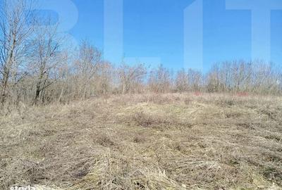 Casă cu 4 camere cu Teren 10000 Mp în Central