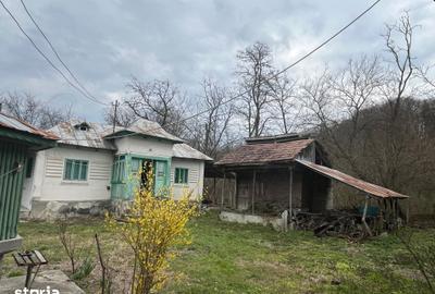 Casă cu 6 camere cu Teren 5000 Mp în Roești