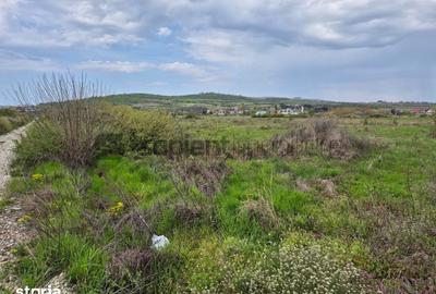 Teren de 9600 mp, în Central - 6