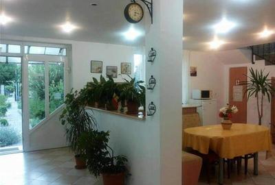 Casă cu 8 camere în Sânmartin - 9