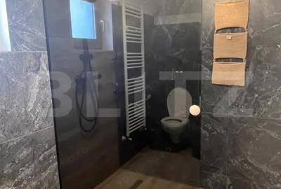 Casa superba Cristian, mobilata si nefolosita - 5