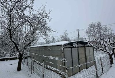 Casa + Livada in Borzesti - 3