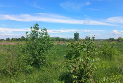 Teren de 500 mp, în Tineretului - 1