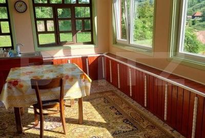 Casa la munte, 5 camere, 4800 mp teren, zona Ocolis