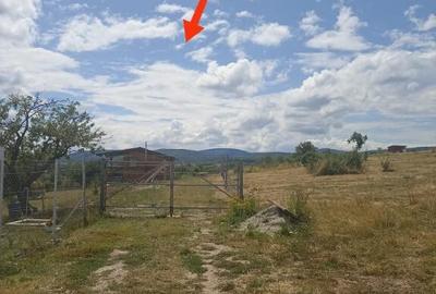 De vanzare teren extravilan in Valea Crisului - 2