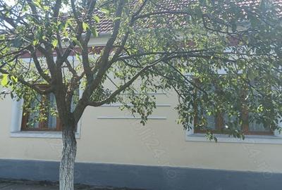 Casă cu 6 camere în Alioș - 9