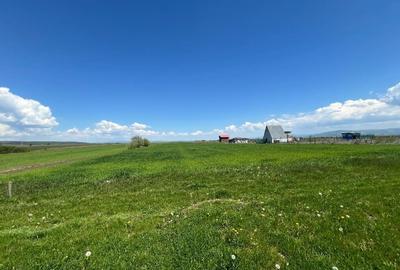 Teren agricol extravilan de 13400 mp, în Dobolii de Jos - 5