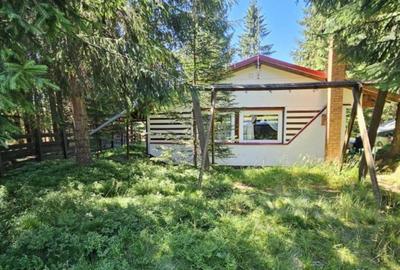 Casa de vacanta, 3 camere, teren 838 mp, 110 mp, Marisel - 4