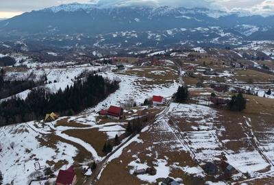 Teren de vanzare - Pestera Magura Moeciu - 3