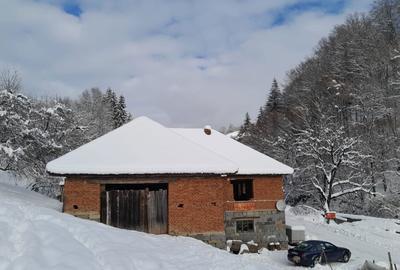 Casă cu 4 camere în Luncșoara - 7