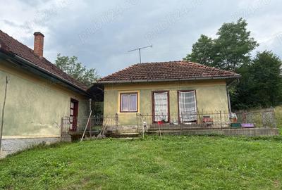 Vand casa Ormindea, Jud. Hunedoara