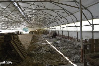 Spațiu comercial, de 1,887 mp, în Glâmbocel - 16