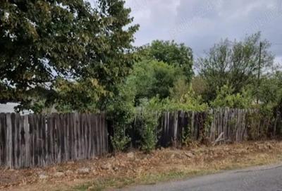 Casă cu 4 camere cu Teren 2700 Mp în Năeni - 1