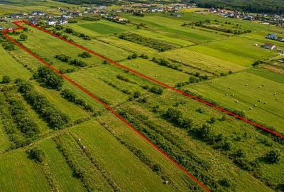 Teren Construcții intravilan de 21700 mp, în Solovăstru - 2