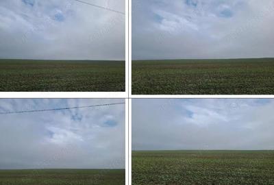 Teren de 1498 mp, în Orbeasca - 10