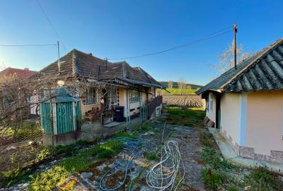 Casă cu 3 camere în Mineu - 6