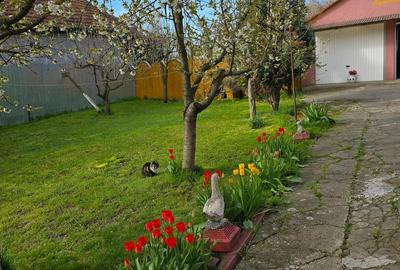 Casă cu 4 camere cu Teren 1900 Mp în Pișchia - 5