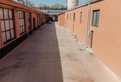 Spațiu industrial, de 193 mp, în Nicolina - 19