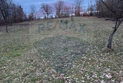 Spațiu comercial, în Rus - 4