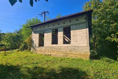 Casa la ro?u + 4391 mp teren de vanzare in comuna Valea Danului, sat Borobane?ti, jude? Arge?. - 17