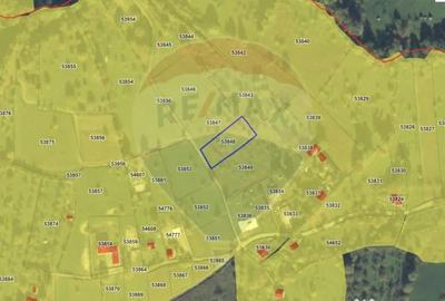 Teren de 3616 mp, în Șișești - 5