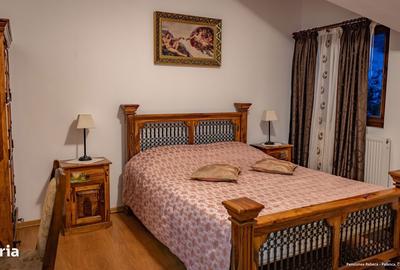 Spațiu comercial, de 600 mp, în Coșnea - 6