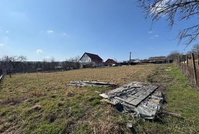 Teren Construcții intravilan de 1797 mp, în Dobrovăț - 3