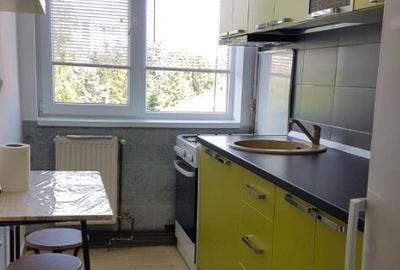 De inchiriat apartament 2 camere Ramnicu Valcea - 8