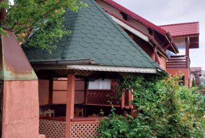 Vila 7 camere, 200 mp, zona Maneciu Pamanteni - 18