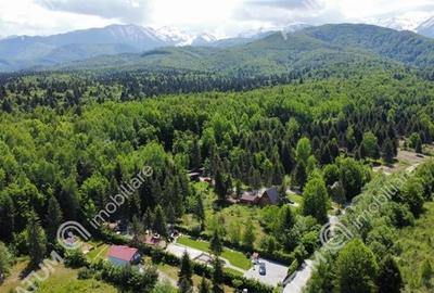 Teren intravilan de vanzare pe Valea Avrigului in suprafata de 1800 mp - 6