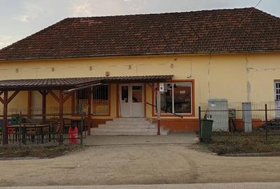 Spațiu comercial, de 12,345 mp, în Sâg - 2