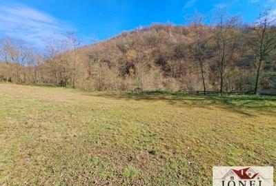 Casa cu 20000 mp de teren de vanzare in Zlatna - 9