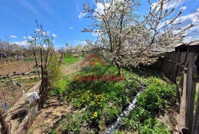 Casa si hala in Baicoi--86.500e - 16