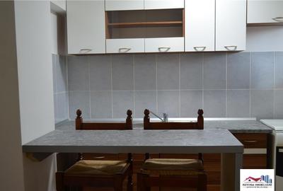 Apartament 1 Camera Mobilat si Utilat de Zona Dambu Pietros - 3