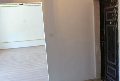 Apartament cu 2 camere decomandat în Calea Timișoarei - 8