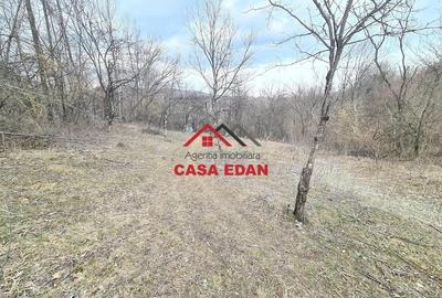 Teren de 3448 mp, în Provița de Jos - 5