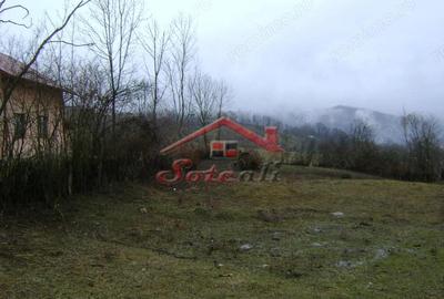 Teren de 2656 mp, în Drăgăneasa - 1