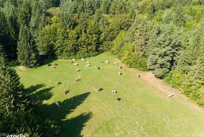 Spațiu comercial, în Vulcan - 4