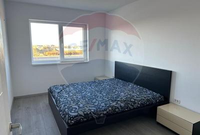 Apartament cu 2 camere decomandat, mobilat în Sânpetru - 8