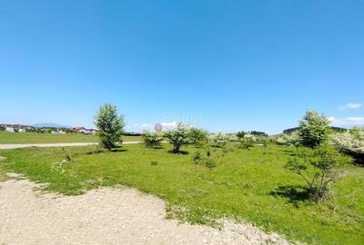 Teren Construcții intravilan de 1333 mp, în Sânpetru - 3