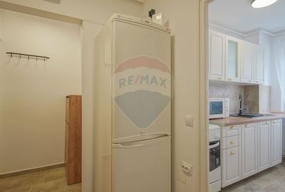 Apartament cu 2 camere semidecomandat, mobilat în Griviței - 2
