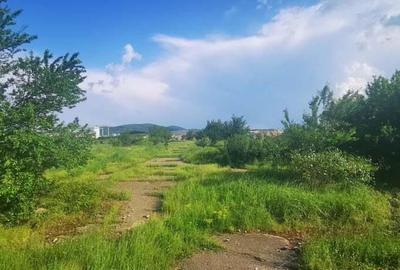 Teren intravilan 5 hectare comasat Bocsa 6 euro mp negociabil - 4