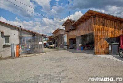 Casă cu 15 camere cu Teren 5000 Mp în Susenii Bârgăului - 9