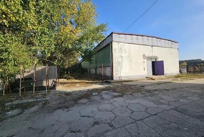 Hala industriala (1000 mp) si teren (4000 mp), Scornicesti, Trafo