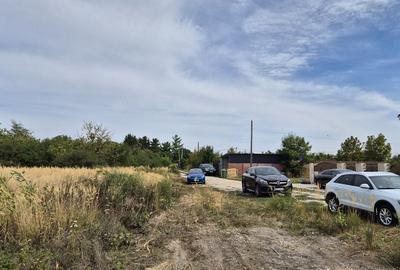 Teren intravilan 1000 mp - Domnesti - 3