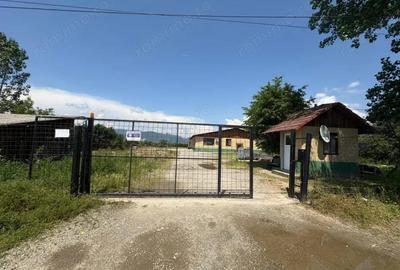 Inchiriere spa?iu industrial echipat hala ?i teren Loc. Tetila - 2