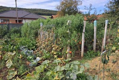 Teren de 938 mp, în Remetea - 3